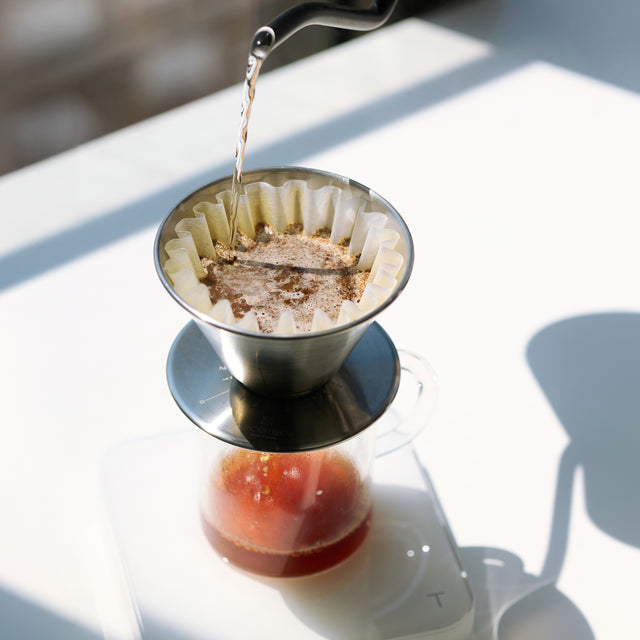 Panama TNT x Auromar | Filter 100g