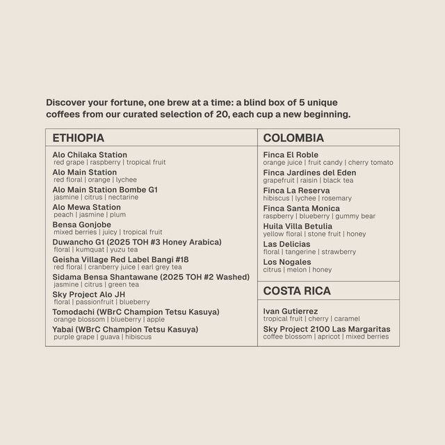 New Year Fortune Coffee Drip Bag Blind Box (5pcs)